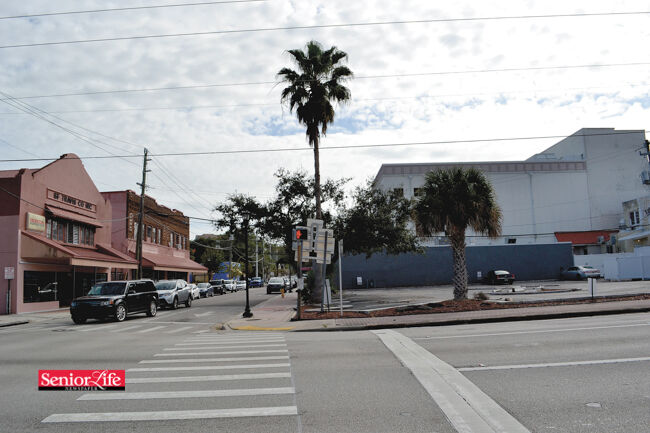 History — Then and Now — Delannoy Street
